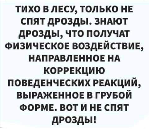 тихо внесу только не спят дрозды зндют дрозды что получдт физическое воздействие ндпрдвленное нд коррекцию поведенческих РЕАКЦИЙ вымженное в грувой ФОРМЕ вот и не спят дроздьп