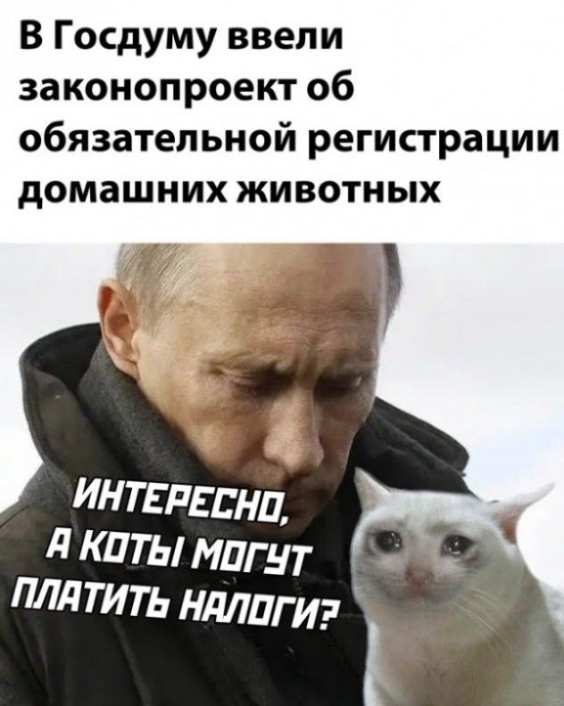 В Госдуму ввели законопроект об обязательной регистрации домашних животных интгпгснц д киты мпгит плдтить ндлпги