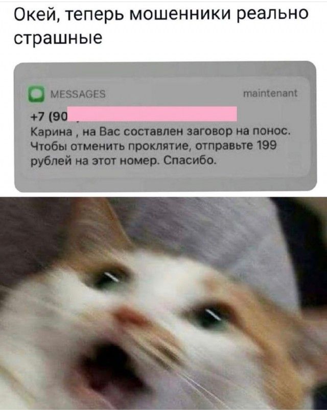 Окей теперь мошенники реально страшные