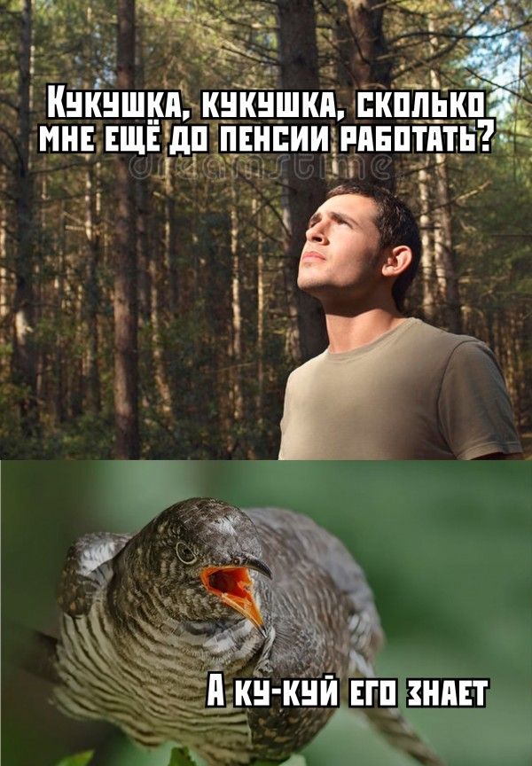 _ь чіЦЗ пгт ь Э Я с м _ Шин У А И ЕП НПЕТ ППЕНПИИ д ак _ рё Ё Ё