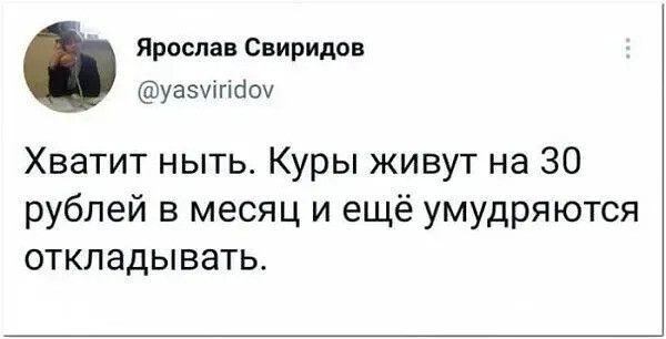 Ярослав Свиридов уазуігібоу Хватит ныть Куры живут на 30 рублей в месяц и ещё умудряются откладывать