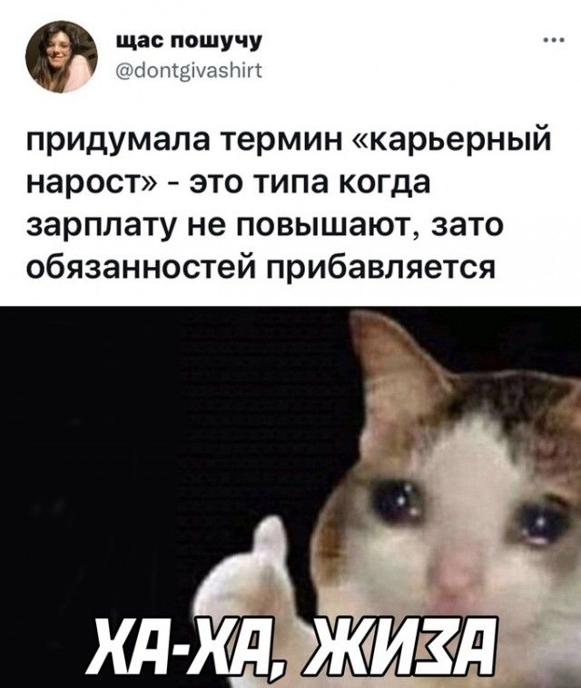щас пошучу пъсіотзшазіпгг придумала термин карьерный нарост это типа когда зарплату не повышают зато обязанностей прибавляется