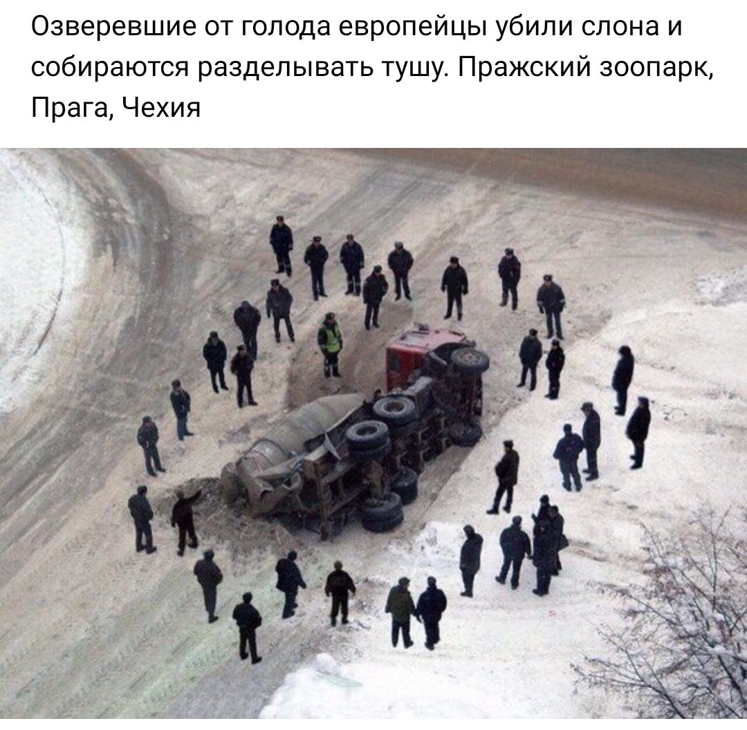 Озверевшие от голода европейцы убили слона и собираются разделывать тушу Пражский зоопарк Прага Чехия