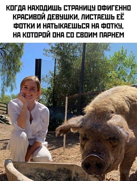 кпгдд ндхпдишь птппницн пшигвннп кпнсивпй дввншки пистдвшь ЕЁ матки и нптыклвшьпя на пятки нн кптпглпй пни п свпим пппнвм
