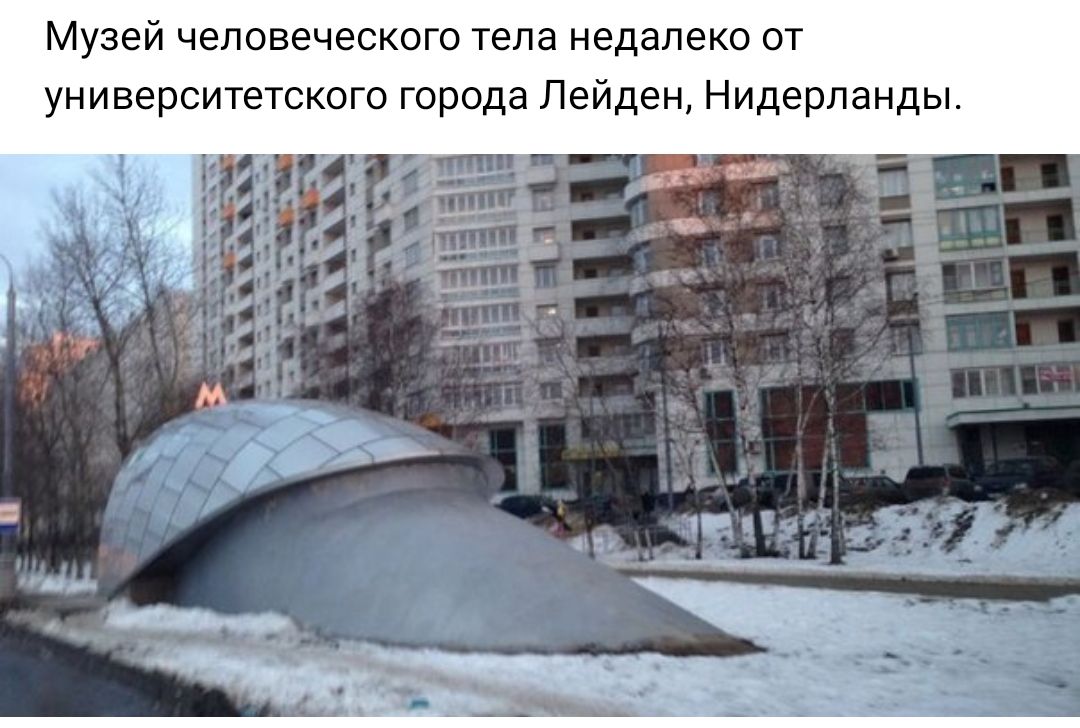 Музей человеческого тела недалеко от университетского города Лейден Нидерланды