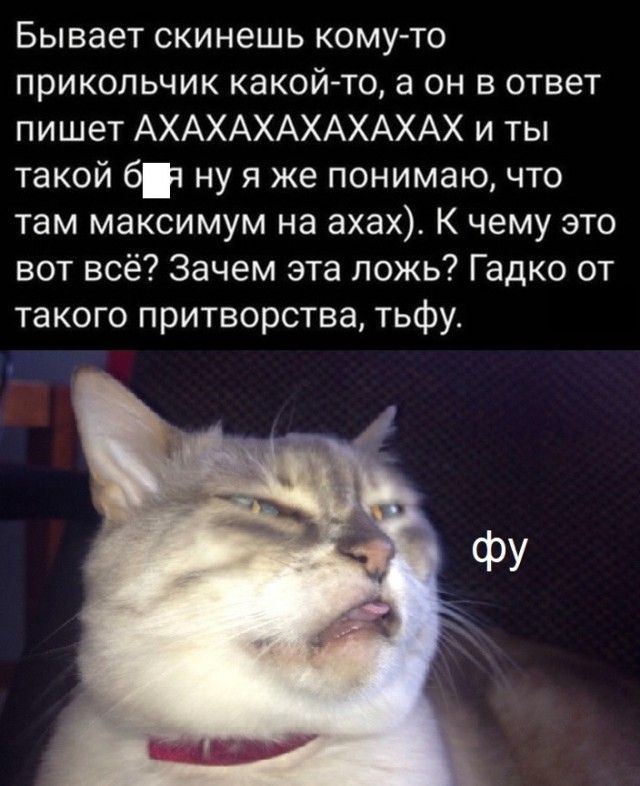 Бывает скинешь кому то прикольчик какой то а он в ответ пишет АХАХАХАХАХАХАХ и ты такой бч ну я же понимаю что там максимум на ахах К чему это вот всё Зачем эта ложь Гадко от такого притворства тьфу