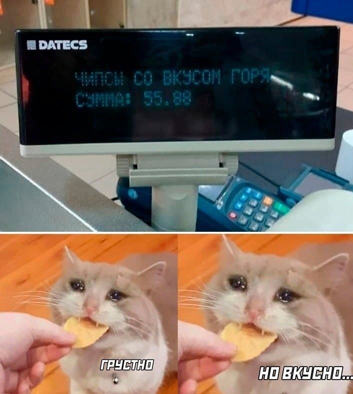 4 д р шутит