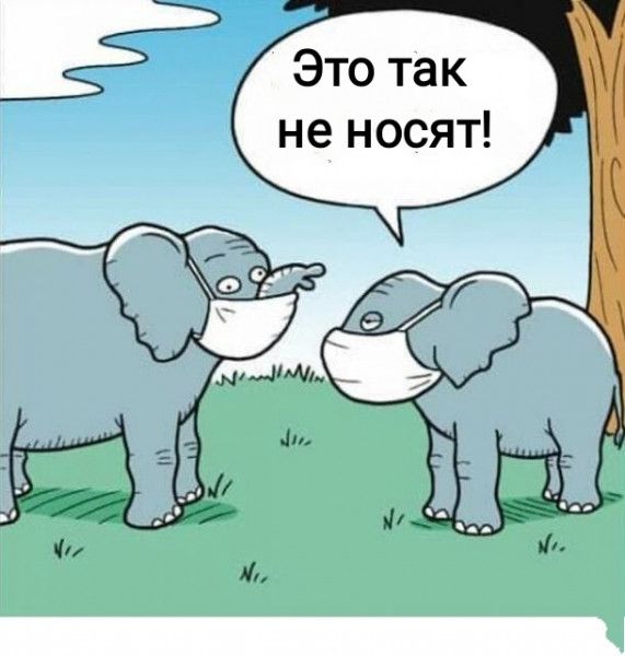 Это так не носят