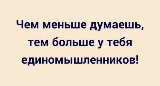 Чем меньше думаешь тем больше у тебя единомышленников