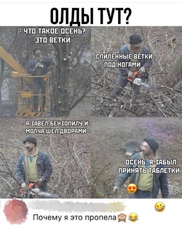 ЧТП ТПКПЕ ПЕЕНЬ зтп ВЕТКИ _ 4 г спипённык ветки м _ ппднпгями Я ЗПВЁП ЕЕНЗППИПН И МППЧд ШЕП ДЕПРЯМИ ___ 4 ПЕЕ1 ПЧПБЫП ПРИНПТЁЯЕПЕТКИ 115 _