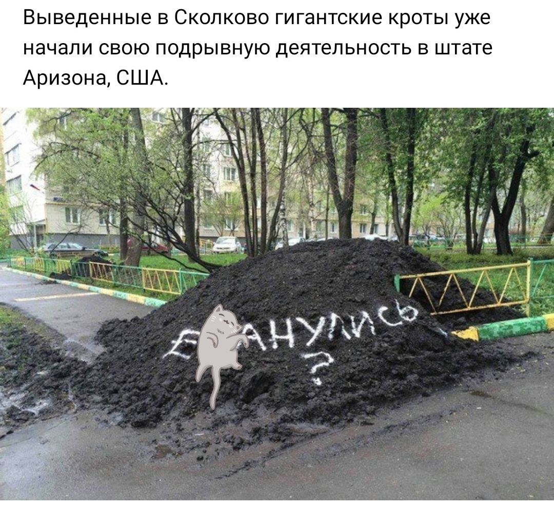 Выведенные в Сколково гигантские кроты уже начали свою подрывную деятельность в штате Аризона США