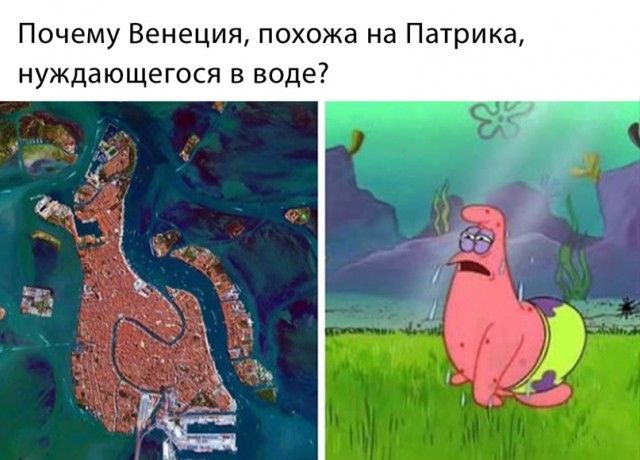 Почему Венеция похожа на Патрика нуждающегося в воде