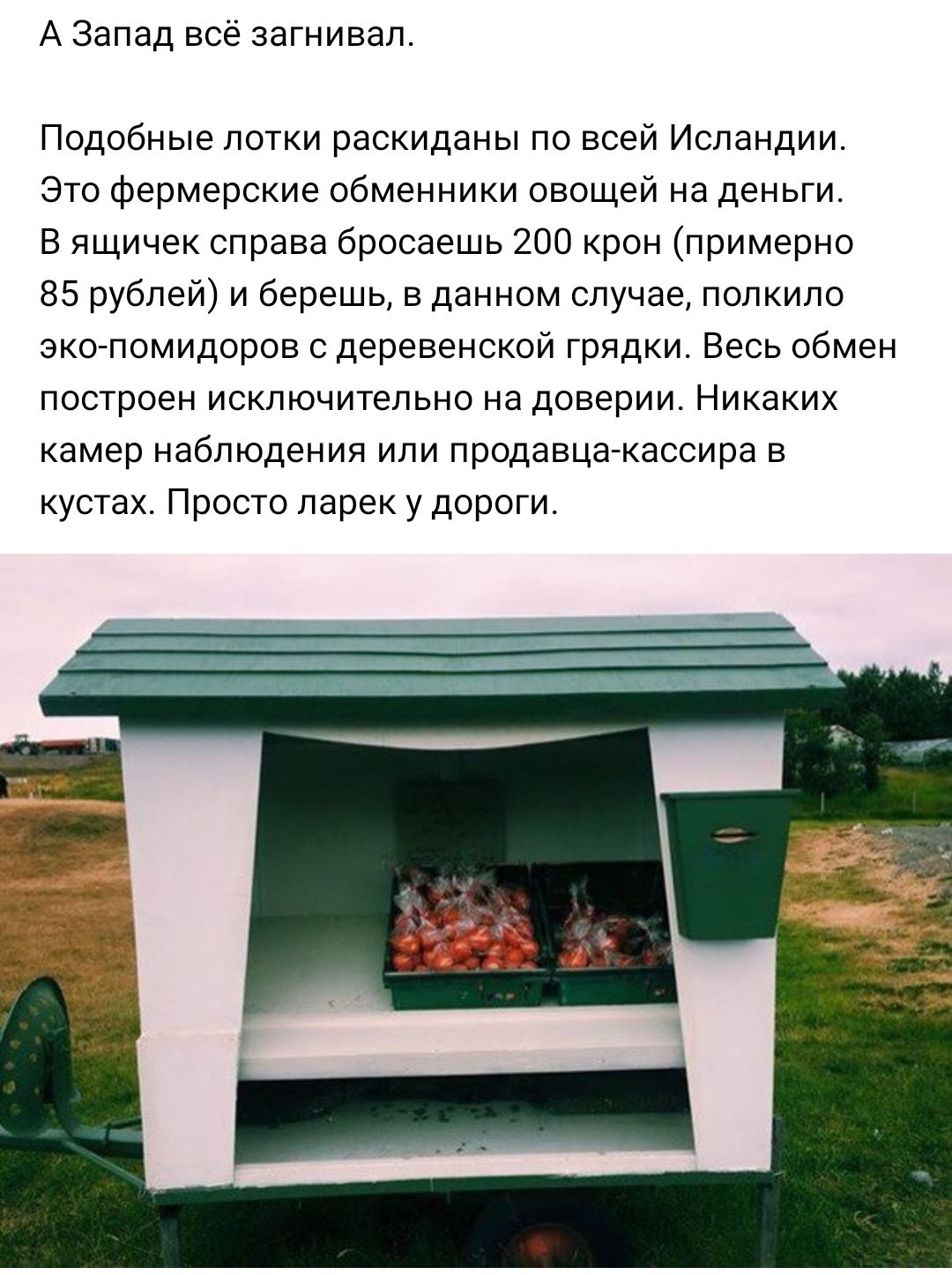 А Запад всё загнивал Подобные лотки раскиданы по всей Исландии Это фермерские обменники овощей на деньги В ящичек справа бросаешь 200 крон примерно 85 рублей и берешь в данном случае полкило эко помидоров с деревенской грядки Весь обмен построен исключительно на доверии Никаких камер наблюдения или продавца кассира в кустах Просто ларек у дороги