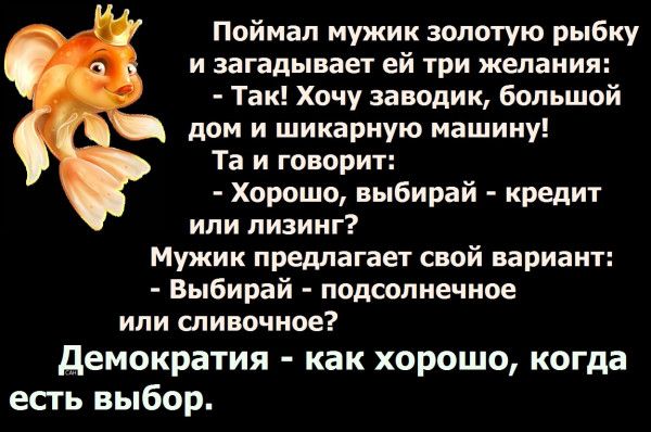 Поймал мужик золотую рыбку И загадывает ей ТРИ желания Так Хочу заводик большой дом и шикарную машину Та и говорит Хорошо выбирай кредит или лизинг Мужик предлагает свой вариант Выбирай подсолнечное или сливочное демократия как хорошо когда есть выбор