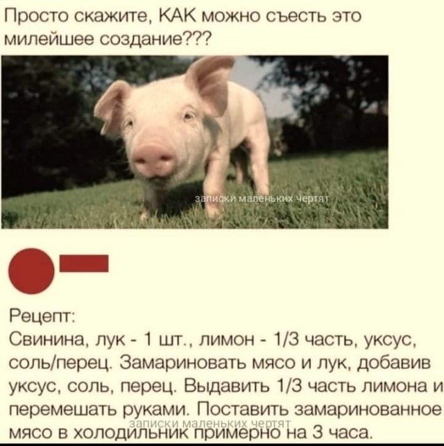 Просто скажите КАК можно съесть это милейшее создание фит Рецепт Свинина пук 1 шт лимон 13 часть уксус сольперец Замариновать мясо и лук добавив уксус соль перец Выдавить 13 часть лимона и перемешать руками Поставить замаринованное мясо в холодипЬник примерно на 3 часа