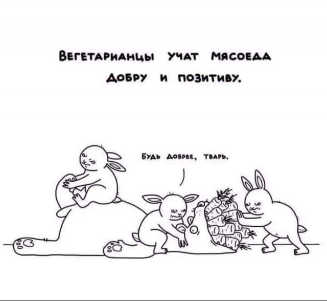 ВЕГЕТАРИАМЦЫ УЧАТ мисмм 597 и пошти 7 Би мии тип