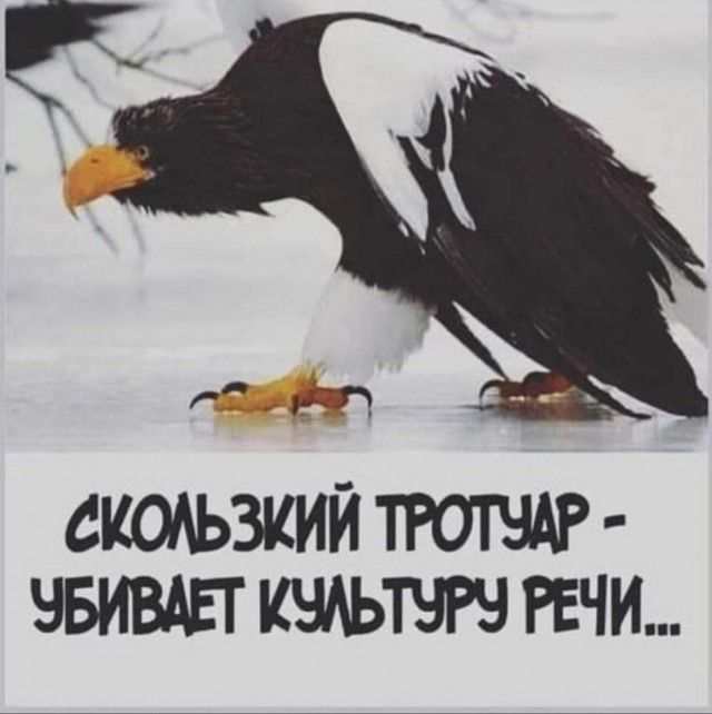 СКОАЬЗКИЙ ТРОТЧАР НБИВАЕТ РЕЧИ
