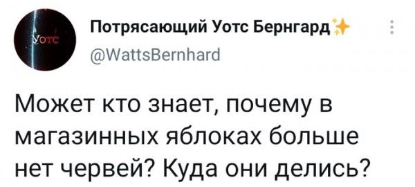 Потрясающий Уотс Бернгард ИапзВегпЬаш Может кто знает почему в магазинных яблоках больше нет червей Куда они делись