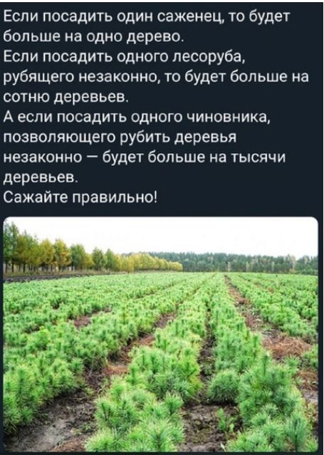 Если посадить один саженец то будет больше на одно дерево Если посадить одного песоруба рубящего незаконно то будет больше на сотню деревьев А если посадить одного чиновника позволяющего рубить деревья незаконно будет больше на тысячи деревьев Сажайте правильно