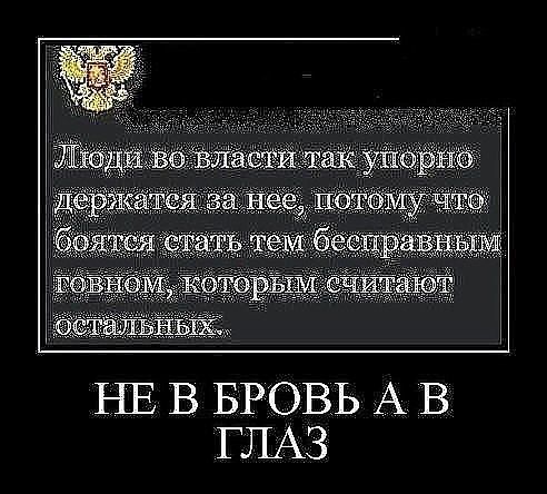 НЕ В БРОВЬ А В ГЛАЗ