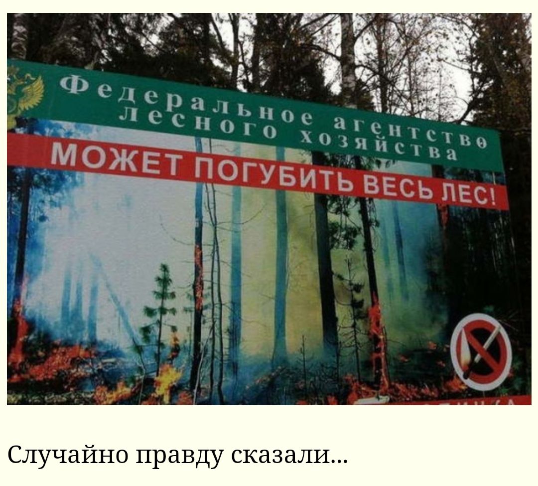 Случайно правду сказали