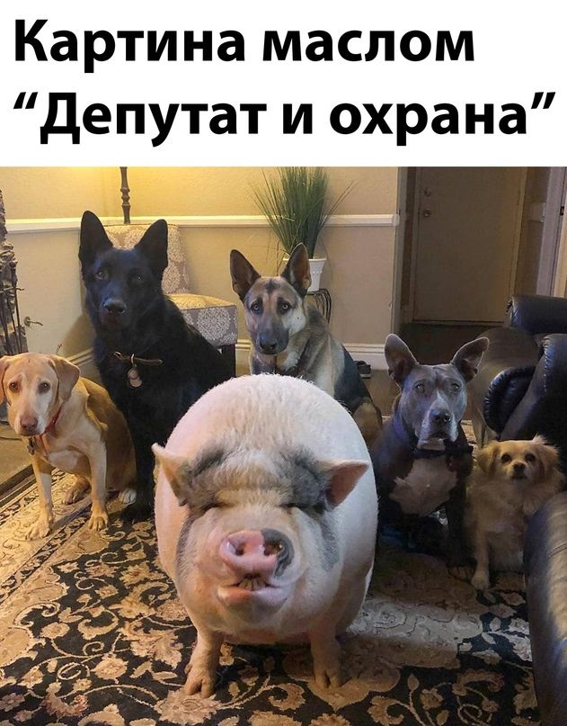 Картина маслом депутат и охрана