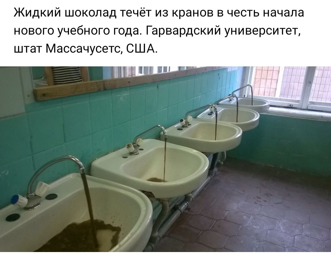 Жидкий шоколад течёт из кранов в честь начала нового учебного года Гарвардский университет штат Массачусетс США