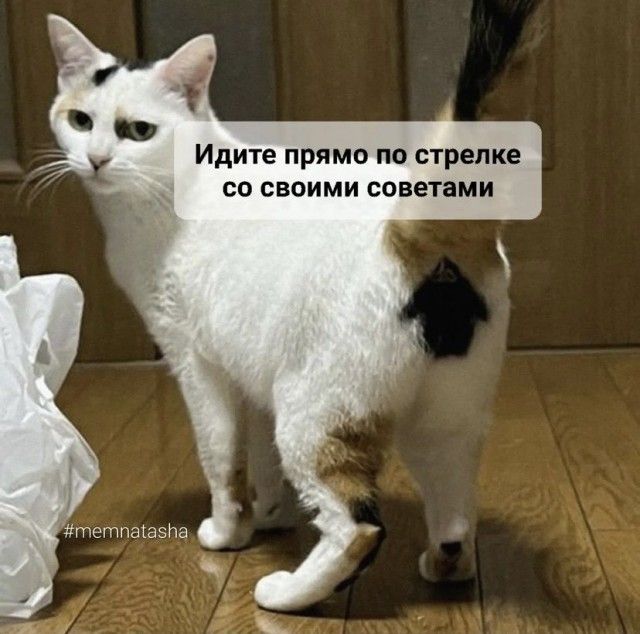 Идите прямо по стрелке со своими советами тетпщазпа