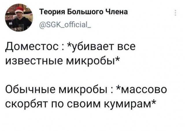 Теория Большого Члена 86К_отсіа_ Доместос убивает все известные микробы Обычные микробы массово скорбят по своим кумирам