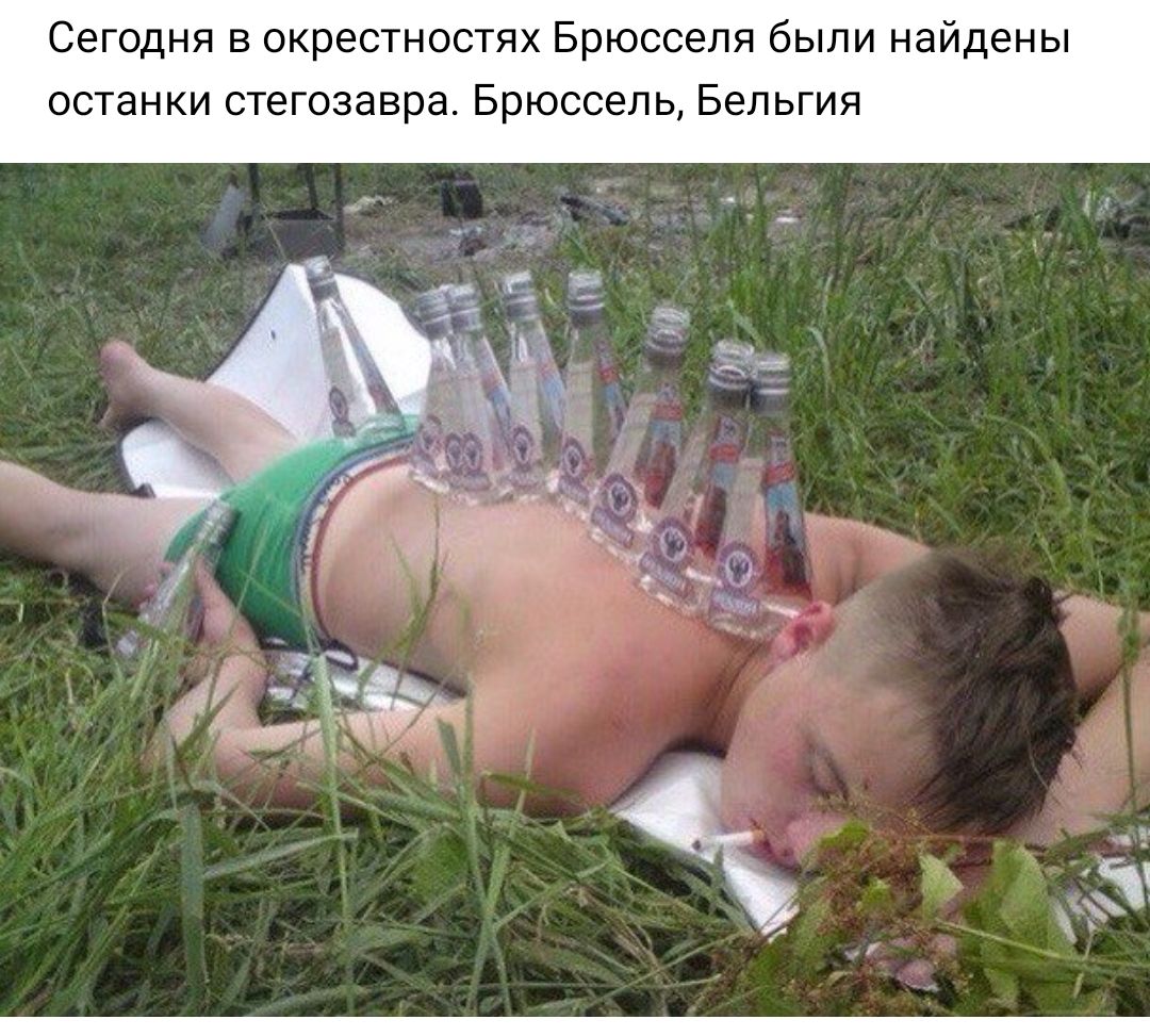 Сегодня в окрестностях Брюсселя были найдены останки стегозавра Брюссель Бельгия