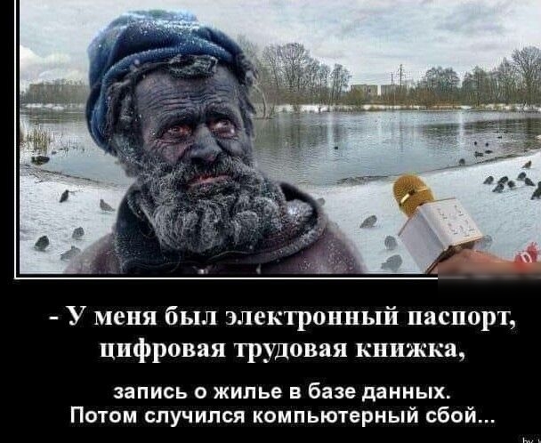 У меня был электронный паспорт Цифровая трудовая книжка запись о жилье в базе данных Потом случился компьютерный сбой