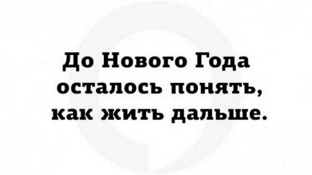 до Нового Года осталось понять как жить дальше