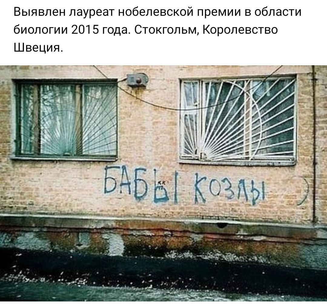 Выявлен лауреат нобелевской премии в области биологии 2015 года Стокгольм Королевство Швеция