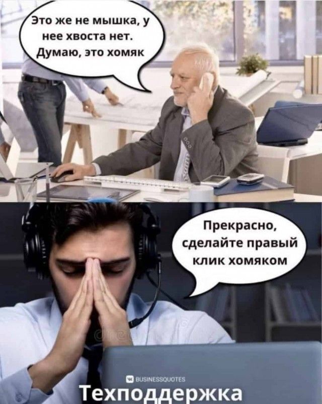 Это же не мышка у нее ХБОСТЗ НЕТ думаю это хомяк Прекрасно сделайте правый клик хомяком