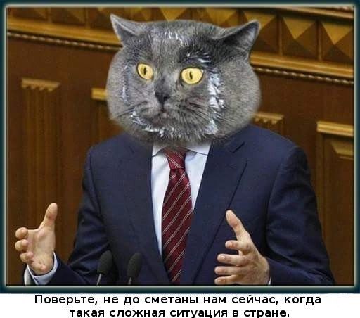 Поверьте не до сметаны нам сеичас когда такая сложная сит а ил 5 ст ане