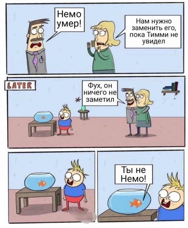 Нам нужно заменить его пока Тимми не увидел ничего не заметил