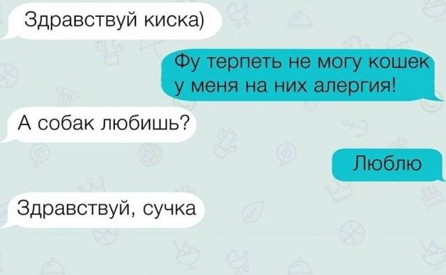 Здравствуй киска А собак любишь Здравствуй сучка