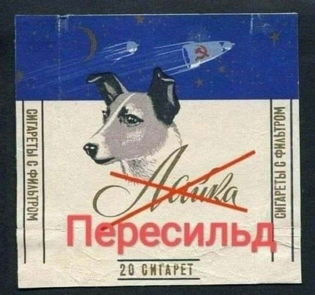 Хозёею ЁЁЁ ЁЁЩЕ 65523