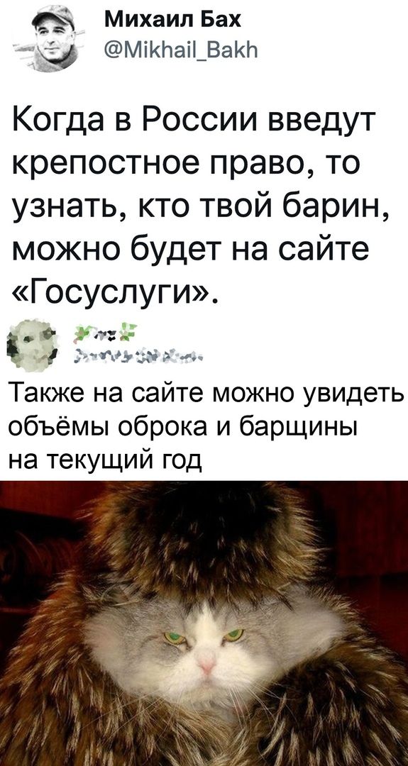 Михаил Бах МіКЬаі_ВаЬ Когда в России введут крепостное право то узнать кто твой барин можно будет на сайте Госуслуги пьщ Также на сайте можно увидеть объёмы оброка и барщины на текущий год