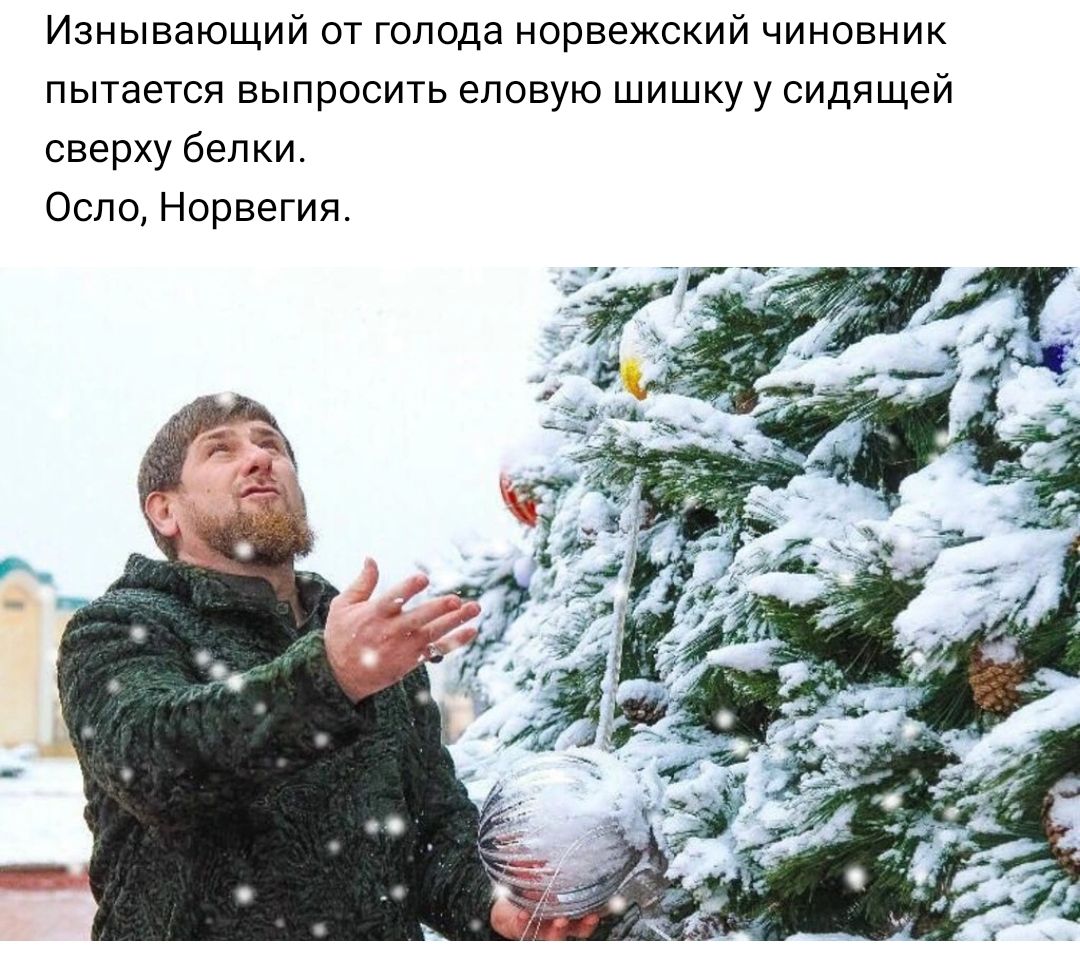 Изнывающий от голода норвежский чиновник пытается выпросить еловую шишку у сидящей сверху белки Осло Норвегия
