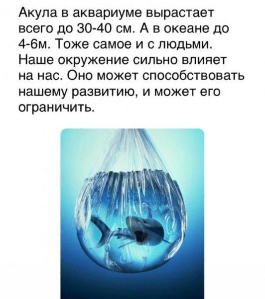Акула в аквариуме вырастает всего до 30 40 см А в океане до 4 6м Тоже самое и с людьми Наше окружение сильно влияет на нас Оно может способствовать нашему развитию и может его ограничить