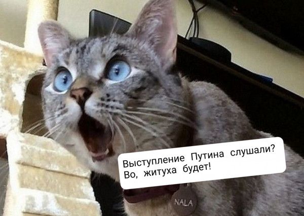 Е путина слушали? Будет! Ввыступлени во, житуха