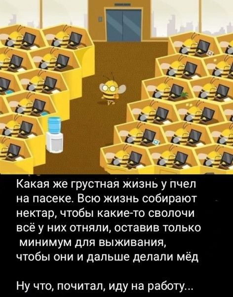 Какая же грустная жизнь у пчел на пасеке Всю жизнь собирают нектар ЧТОбЫ какие то СВОПОЧИ всё у них отняли оставив только МИНИМУМ ДПЯ ВЫЖИВЭНИЯ чтобы они и дальше делали мёд Ну что почитал иду на работу