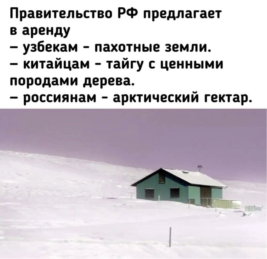 Правительство РФ предлагает в аренду узбекам пахотные земли китайцам тайгу с ценными породами дерева россиянам арктический гектар