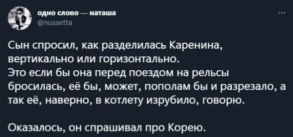 Сын спросил как разделилась Каренина вертикально или горизонтальна Это если бы она перед поездом на рельсы бросилась её бы может пополам бы и разрезала а так её наверно в котлету изрубило говорю Оказалось он спрашивал про Корею