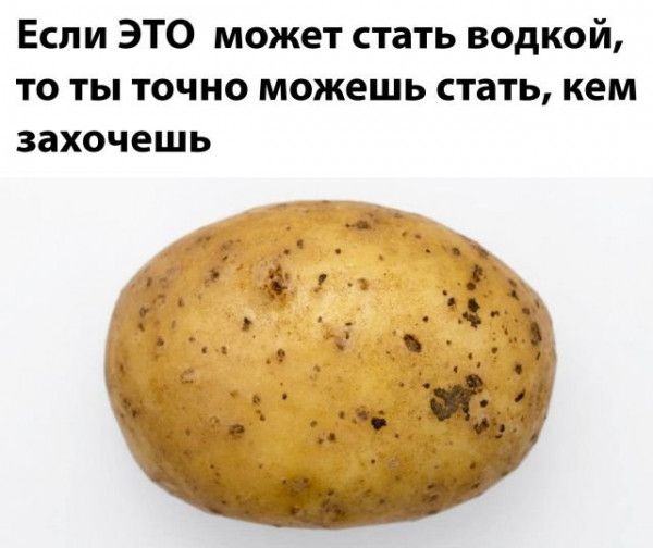 Если ЭТО может стать водкой то ты точно можешь стать кем захочешь