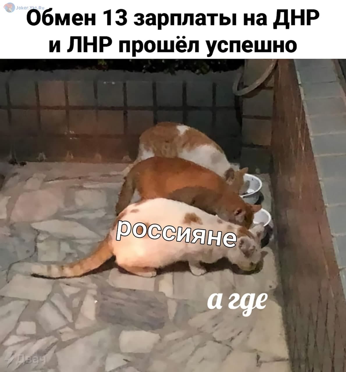 Обмен 13 зарплаты на дНР и ЛНР прошёл успешно