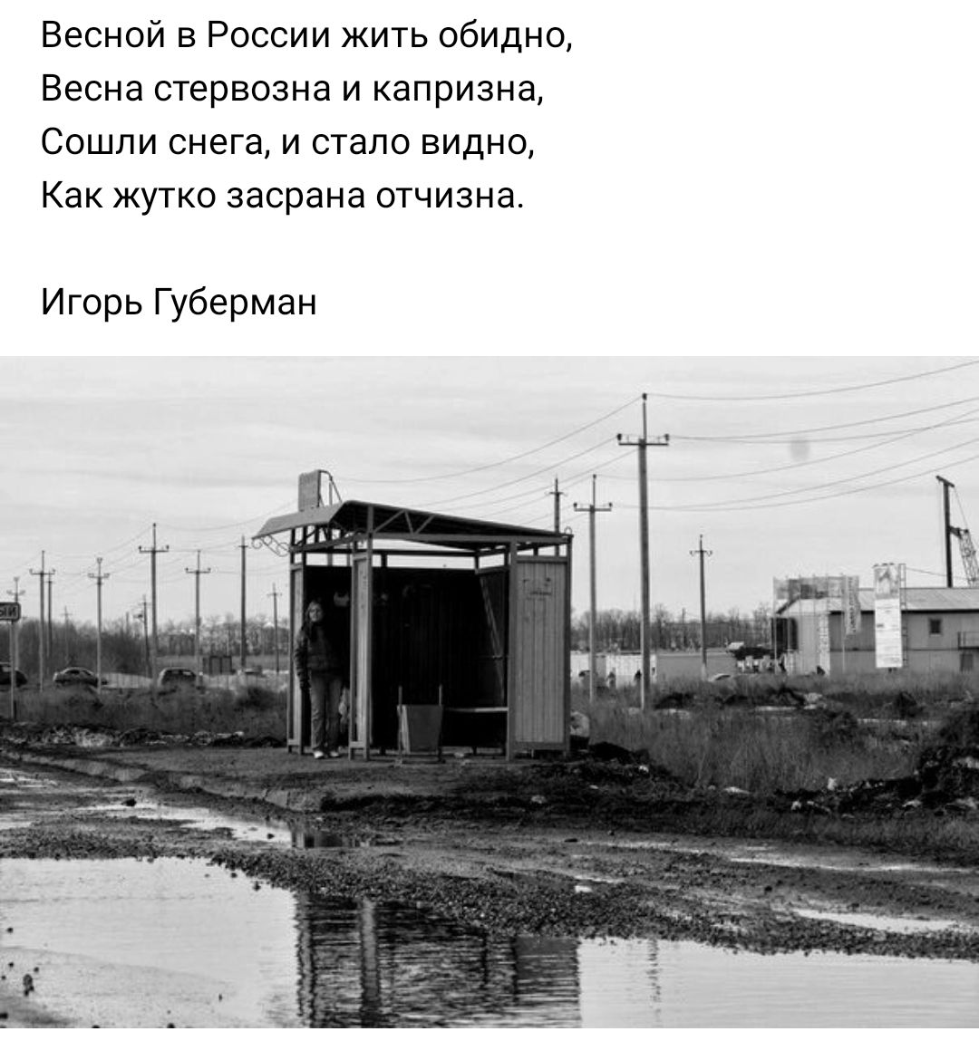 Весной в России жить обидно Весна стервозна и капризна Сошли снега и стало видно Как жутко засрана отчизна Игорь Губерман