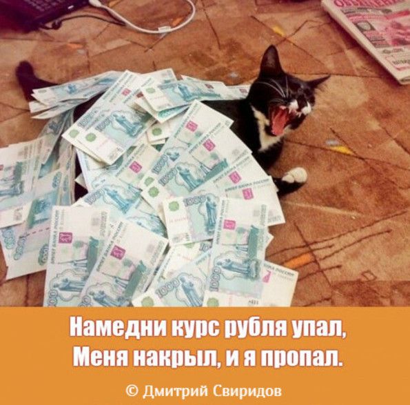 ху кн ЁЦнМДН _ Ми чн ъм НіЧгіТь Пашин