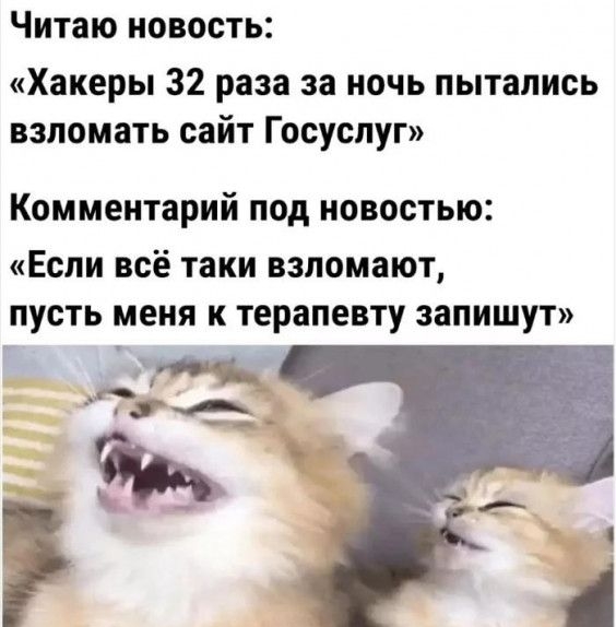Читаю новость Хакеры 32 раза за ночь пытались взломать сайт Госуспуг Комментарий под новостью Если всё таки взломают ПУСТЬ меня К терапевту ЗЗПИШУТ